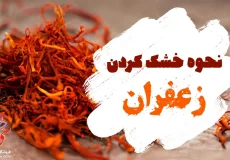 خشک کردن زعفران